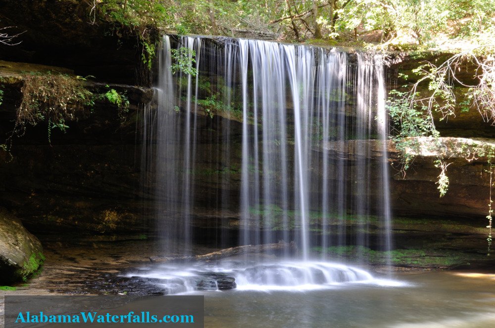 Caney Creek Falls Trip Guide And Pictures Bankhead National Forest Alabama Waterfalls