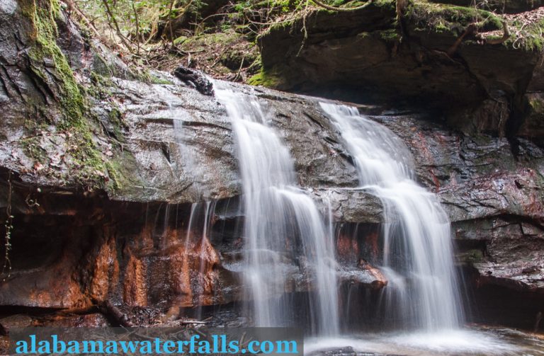 Bankhead National Forest Trip Guide - Alabama Waterfalls