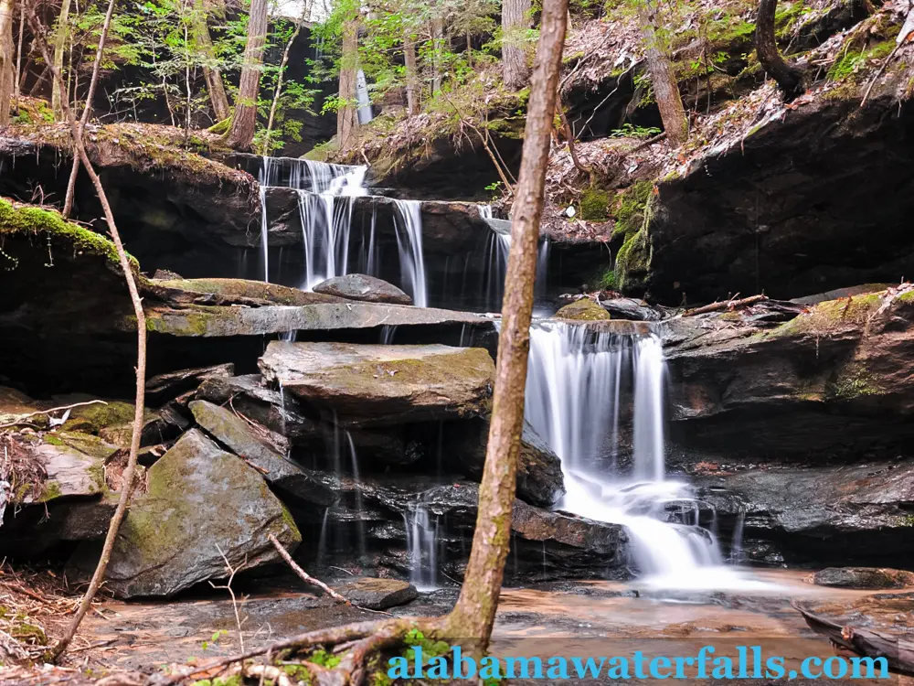 Exploring Waterfalls Easy Hiking Trails Near Me by Region Alabama